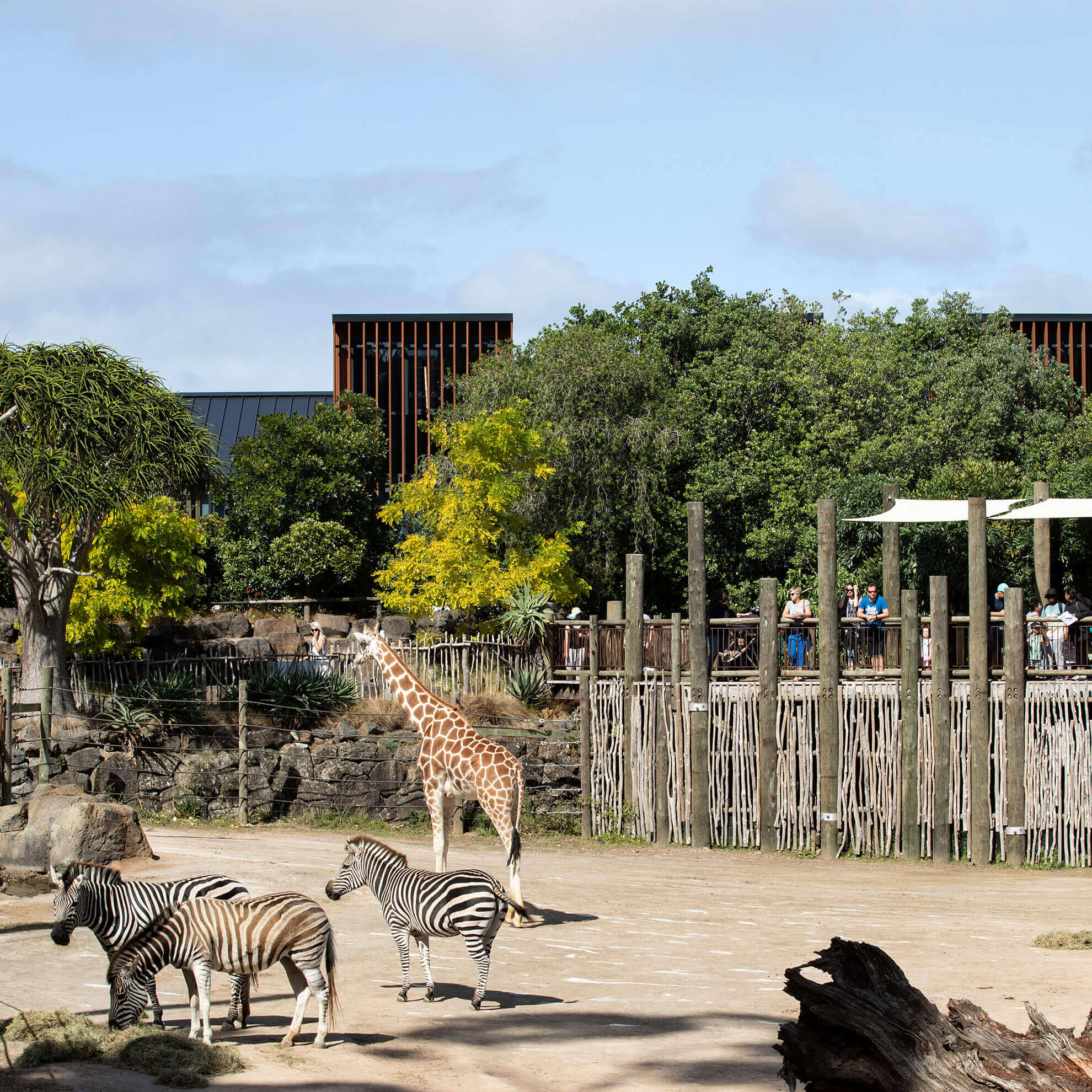 Auckland Zoo Administration Building